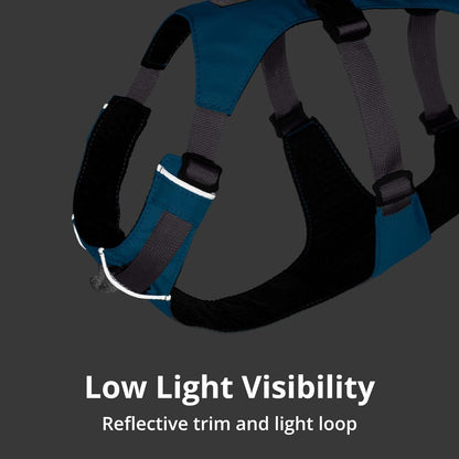 Flagline Dog Harness - Reflective Padded No-Pull Harness with Handle in Meltwater Teal, Size Medium