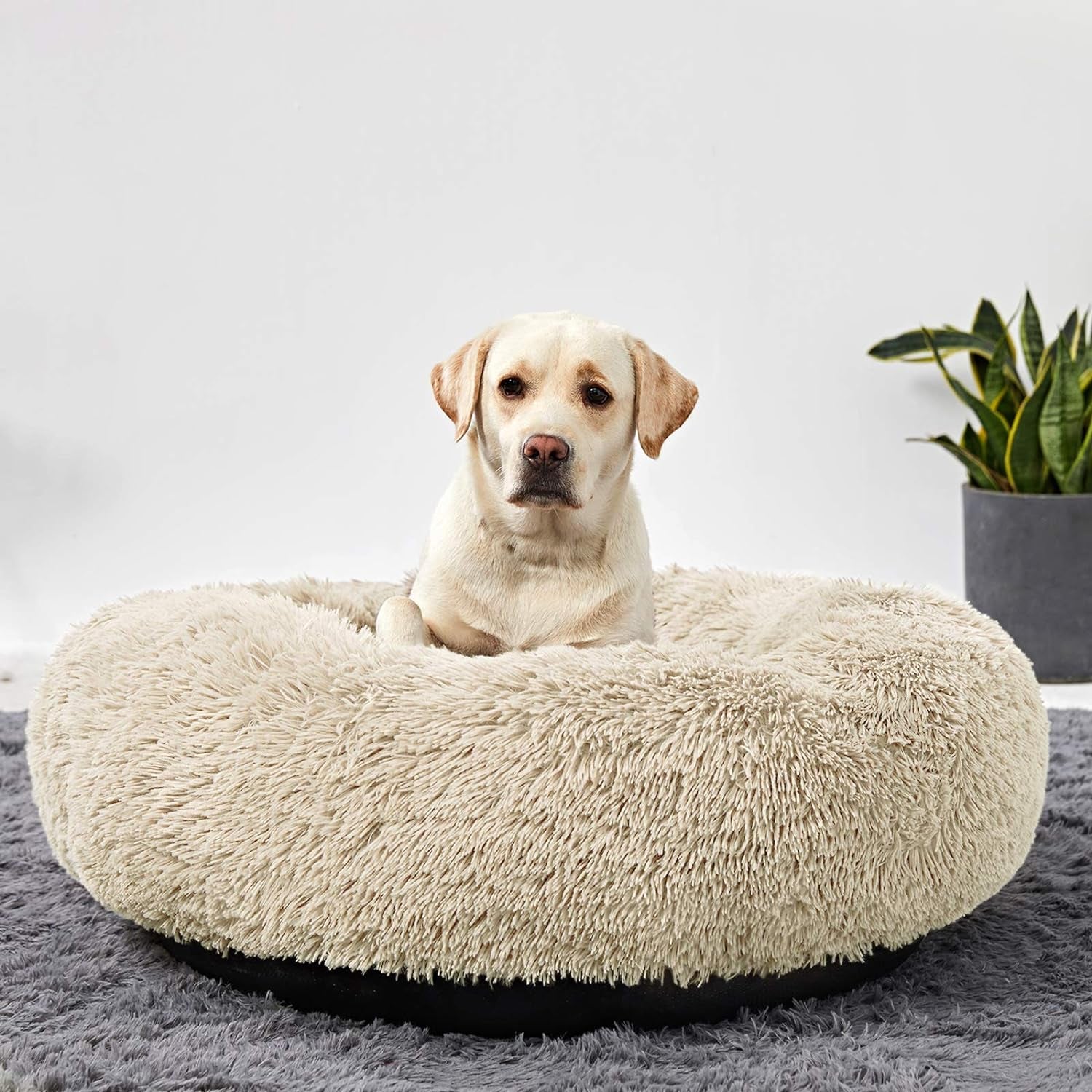 Large Washable Donut Dog Bed - Comfortable Calming Cuddler for Pets